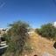 land for sale panthea limassol 7732816 thumbnail 10141705