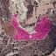land for sale skarinou larnaca 8085816 thumbnail 13114919