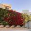 3 bedroom bungalow off market peyia paphos 7733916 thumbnail 14885452