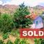 3 bedroom bungalow sold kalo chorio lemesou limassol 213916 thumbnail 58865