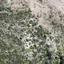 land for sale gerasa limassol 1882916 thumbnail 16269554