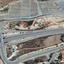 land for sale pissouri limassol 7739026 thumbnail 12567817
