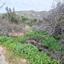 land for sale pomos paphos 1667026 thumbnail 4297424