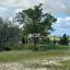 plot for sale armou paphos 7784026 thumbnail 10407078