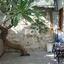 2 bedroom detached house for sale limassol municipality limassol 8521126 thumbnail 15400924