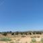 8891 SQM Land for sale in Psimolofou, Nicosia thumbnail 16295217