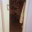 3 bedroom detached house for sale evrychou nicosia 8743226 thumbnail 16411549
