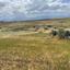 land for sale peristerona lefkosias nicosia 8343226 thumbnail 14370463