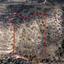 land for sale dora limassol 839326 thumbnail 5480892