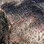 land for sale dora limassol 839326 thumbnail 5480901