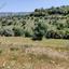 land for sale dora limassol 8926326 thumbnail 17615249