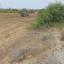 land for sale mazotos larnaca 1196326 thumbnail 6233147