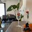 2 bedroom apartment for rent chrysopolitissa larnaca 1516426 thumbnail 16301156