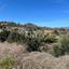 land for sale kalavasos larnaca 8890426 thumbnail 17319777