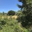 land for sale lysos paphos 1624426 thumbnail 15598297