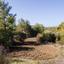 land for sale lysos paphos 1624426 thumbnail 15598304