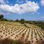 land for sale kathikas paphos 960526 thumbnail 15601632