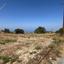land for sale koili paphos 8645526 thumbnail 15938149