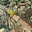 land for sale koili paphos 8645526 thumbnail 15938159