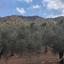 land for sale lythrodontas nicosia 1792526 thumbnail 17922388