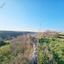 land for sale pano arodes paphos 1648526 thumbnail 4215362