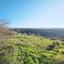 land for sale pano arodes paphos 1648526 thumbnail 4215365