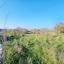 land for sale pano arodes paphos 1648526 thumbnail 4215366
