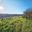 land for sale pano arodes paphos 1648526 thumbnail 4215367