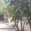 3 bedroom detached house for sale nicosia municipality nicosia 1060626 thumbnail 16178018