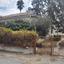 3 bedroom detached house for sale nicosia municipality nicosia 1060626 thumbnail 16178021