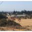 land for sale kalavasos larnaca 1576626 thumbnail 6024669