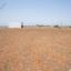 land for sale palaiometocho nicosia 8489626 thumbnail 15355742