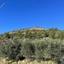 16221 SQM Land for sale in Askas, Nicosia thumbnail 16333545