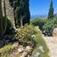 5 bedroom detached house for sale tsada paphos 1684726 thumbnail 5185552