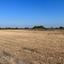 land for sale frenaros famagusta 1281726 thumbnail 5294300