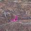 land for sale kelokedara paphos 1897726 thumbnail 14207817