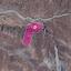 land for sale kelokedara paphos 1897726 thumbnail 14207819