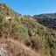 land for sale dora limassol 1938826 thumbnail 7671458