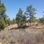 land for sale katydata nicosia 945826 thumbnail 3339450