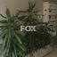 studio office for rent agia zoni limassol 1146826 thumbnail 14276793