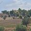 land for sale lympia nicosia 8382926 thumbnail 14720363