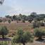 land for sale lympia nicosia 8382926 thumbnail 14720364