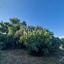 4 bedroom detached house for sale kritou marottou paphos 8941036 thumbnail 17668754