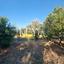 4 bedroom detached house for sale kritou marottou paphos 8941036 thumbnail 17668756