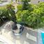 6 bedroom detached house for sale dekeleia larnaca 7821036 thumbnail 10680339