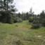 7990 SQM Land for sale in Mitsero, Nicosia thumbnail 16294314