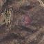 4683 SQM Land for sale in Eptagoneia, Limassol thumbnail 9696282