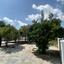 5 bedroom detached house for sale oroklini larnaca 7838236 thumbnail 10767502