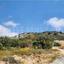 land for sale agios theodoros larnacas larnaca 7873236 thumbnail 11390321