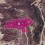 16273 SQM Land for sale in Tochni, Larnaca thumbnail 15867363